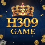 H309 Game